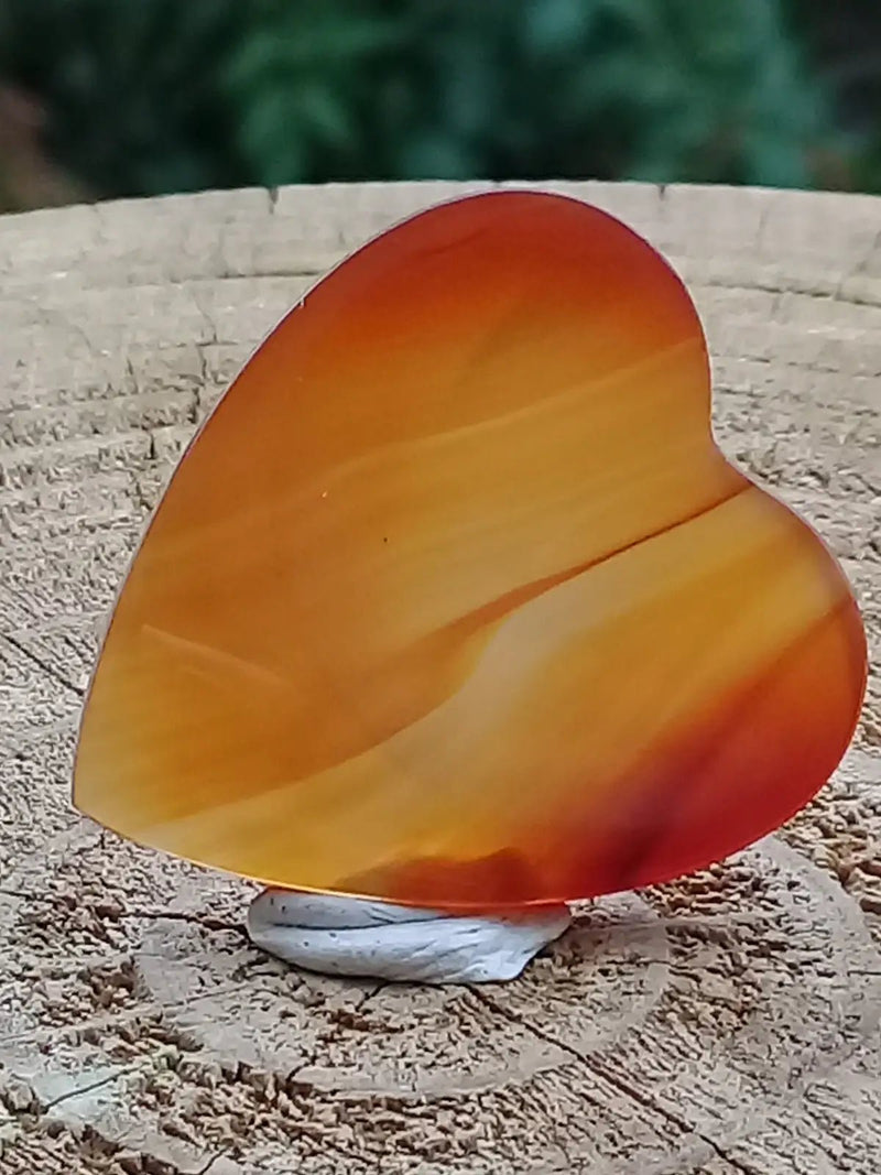 Chargez l&#39;image dans la visionneuse de la galerie, Sardoine Médiator guitare Grade A++++ Sardoine Médiator guitare
