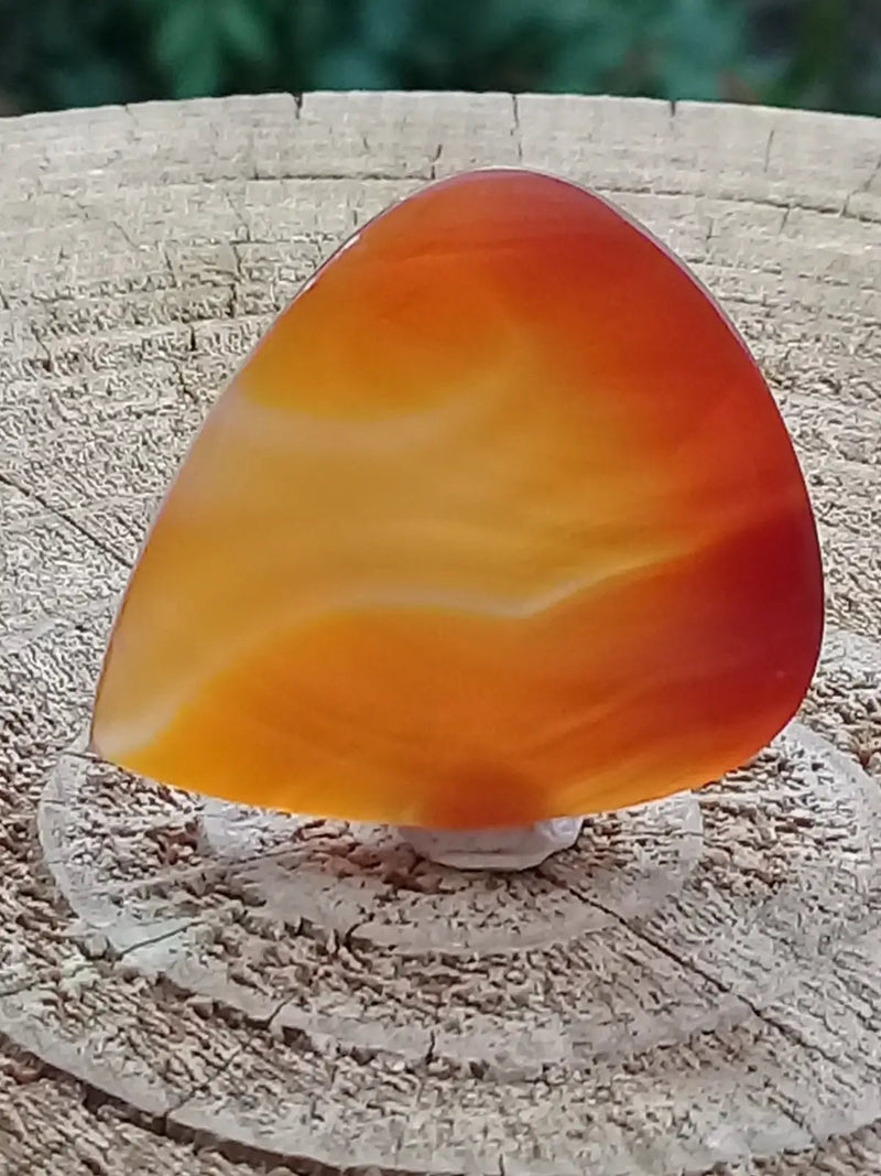 Chargez l&#39;image dans la visionneuse de la galerie, Sardoine Médiator guitare Grade A++++ Sardoine Médiator guitare
