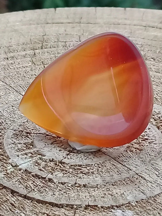 Sardoine Médiator guitare Grade A++++ Sardoine Médiator guitare