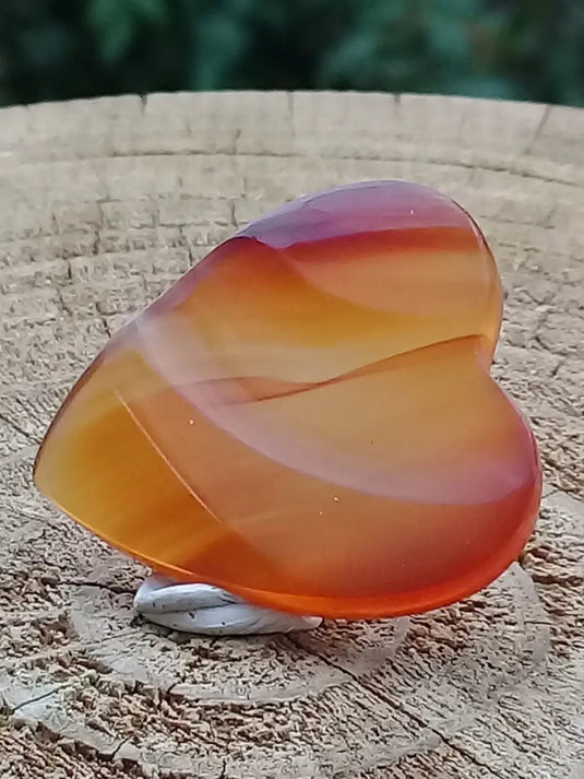 Sardoine Médiator guitare Grade A++++ Sardoine Médiator guitare