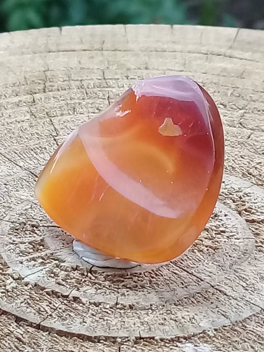 Sardoine Médiator guitare Grade A++++ Sardoine Médiator guitare