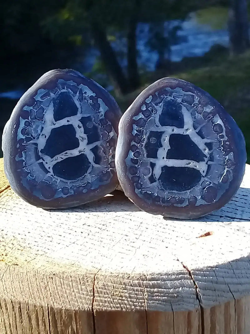 Load image into Gallery viewer, Septaria de la région des contreforts de l’Atlas Maroc - Pierres brutes - Grade Prémium Septaria paire
