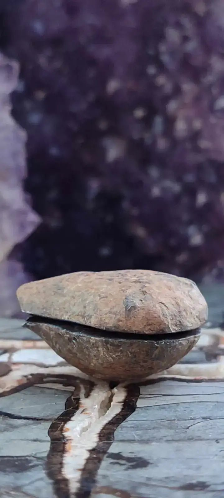 Load image into Gallery viewer, Septaria de la région des contreforts de l’Atlas Maroc - Pierres brutes - Grade Prémium Septaria paire
