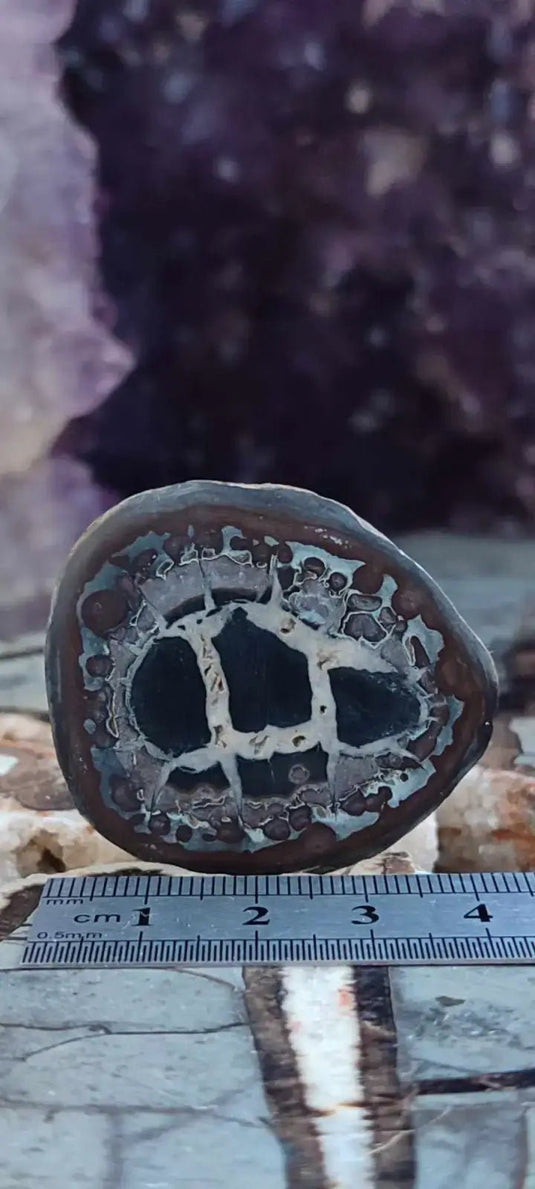 Septaria de la région des contreforts de l’Atlas Maroc - Pierres brutes - Grade Prémium Septaria paire