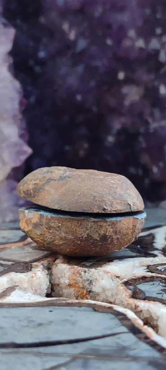 Septaria de la région des contreforts de l’Atlas Maroc - Pierres brutes - Grade Prémium Septaria paire