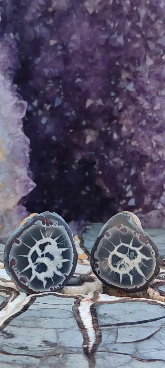 Septaria de la région des contreforts de l’Atlas Maroc - Pierres brutes - Grade Prémium Septaria paire