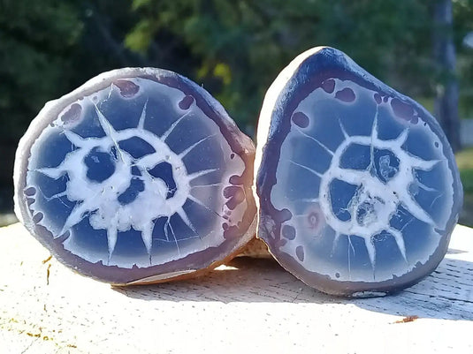 Septaria de la région des contreforts de l’Atlas Maroc - Pierres brutes - Grade Prémium Septaria paire