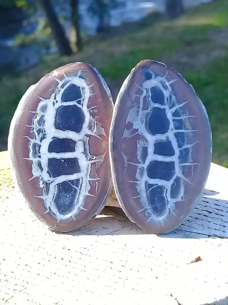 Load image into Gallery viewer, Septaria de la région des contreforts de l’Atlas Maroc - Pierres brutes - Grade Prémium Septaria paire
