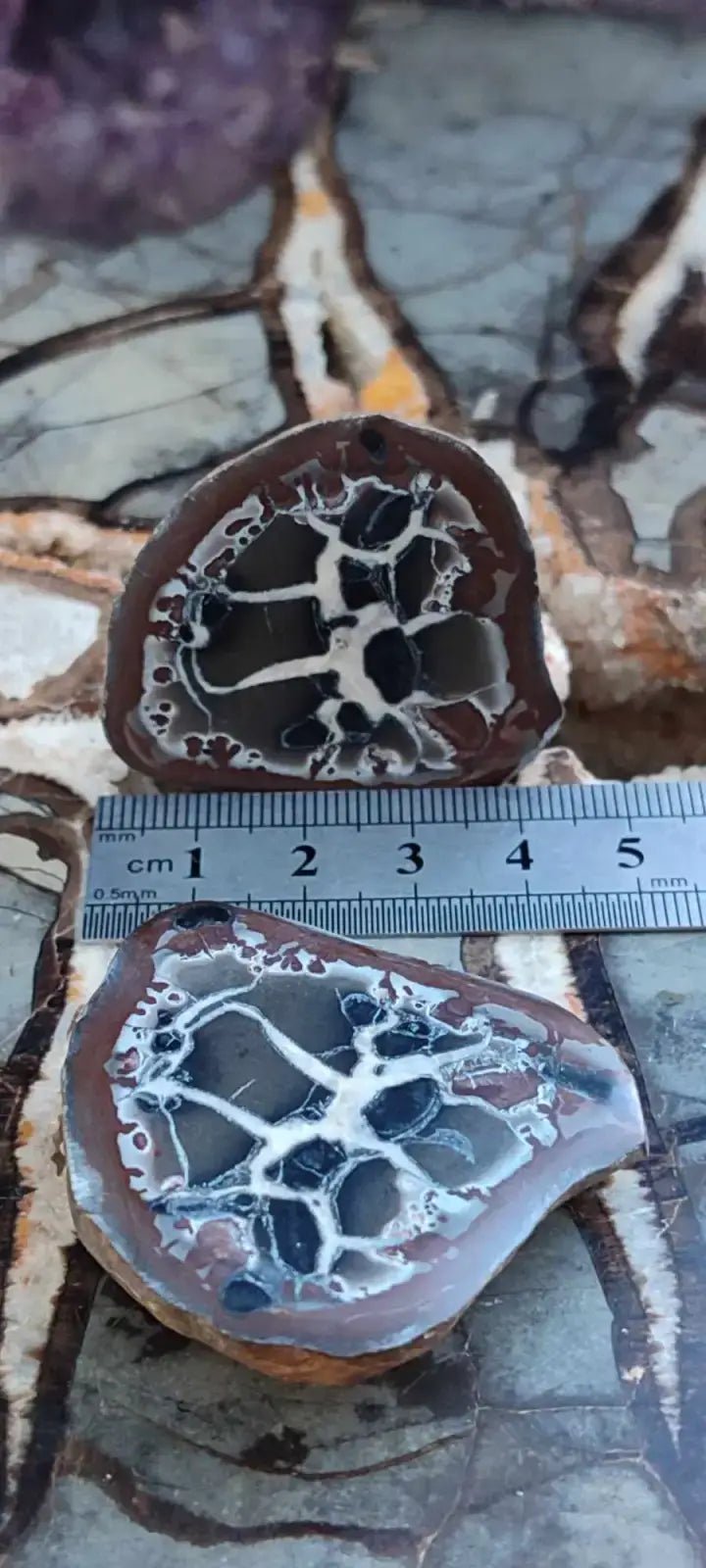 Load image into Gallery viewer, Septaria de la région des contreforts de l’Atlas Maroc - Pierres brutes - Grade Prémium Septaria paire
