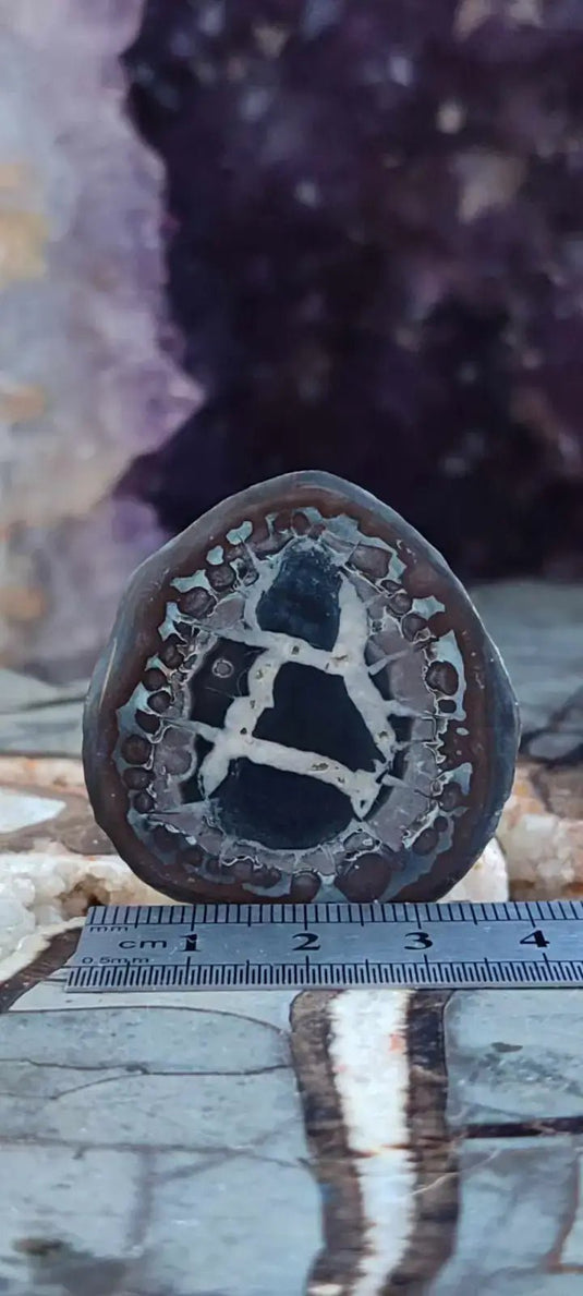 Septaria de la région des contreforts de l’Atlas Maroc - Pierres brutes - Grade Prémium Septaria paire