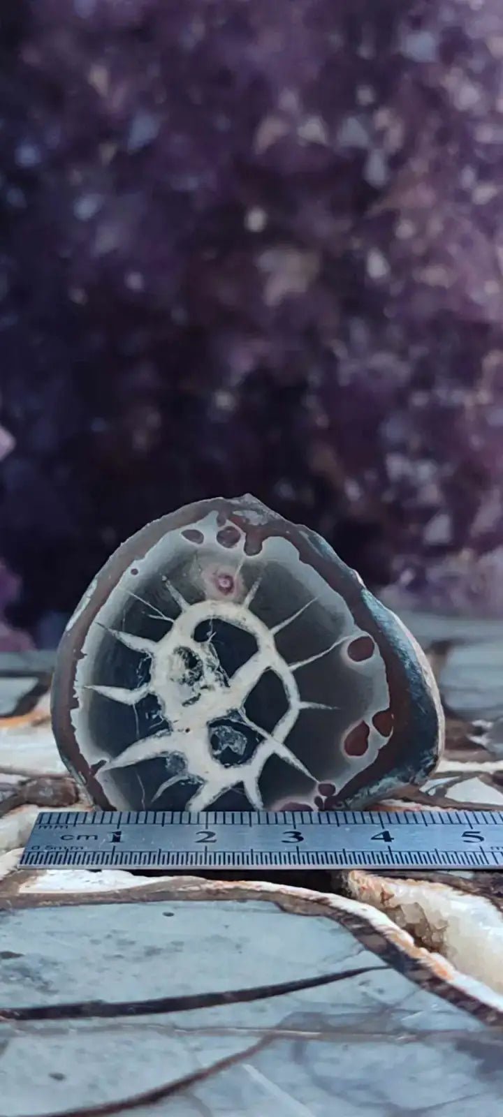 Load image into Gallery viewer, Septaria de la région des contreforts de l’Atlas Maroc - Pierres brutes - Grade Prémium Septaria paire
