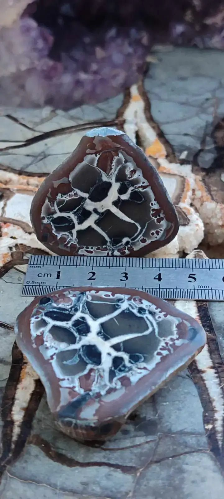 Load image into Gallery viewer, Septaria de la région des contreforts de l’Atlas Maroc - Pierres brutes - Grade Prémium Septaria paire
