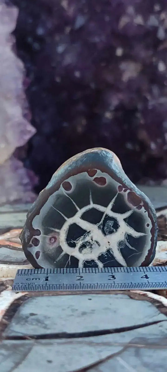 Septaria de la région des contreforts de l’Atlas Maroc - Pierres brutes - Grade Prémium Septaria paire