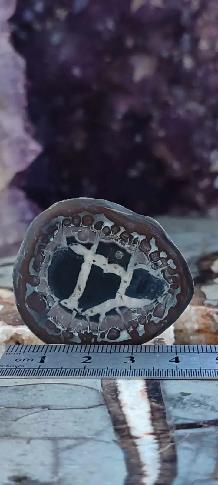 Load image into Gallery viewer, Septaria de la région des contreforts de l’Atlas Maroc - Pierres brutes - Grade Prémium Septaria paire
