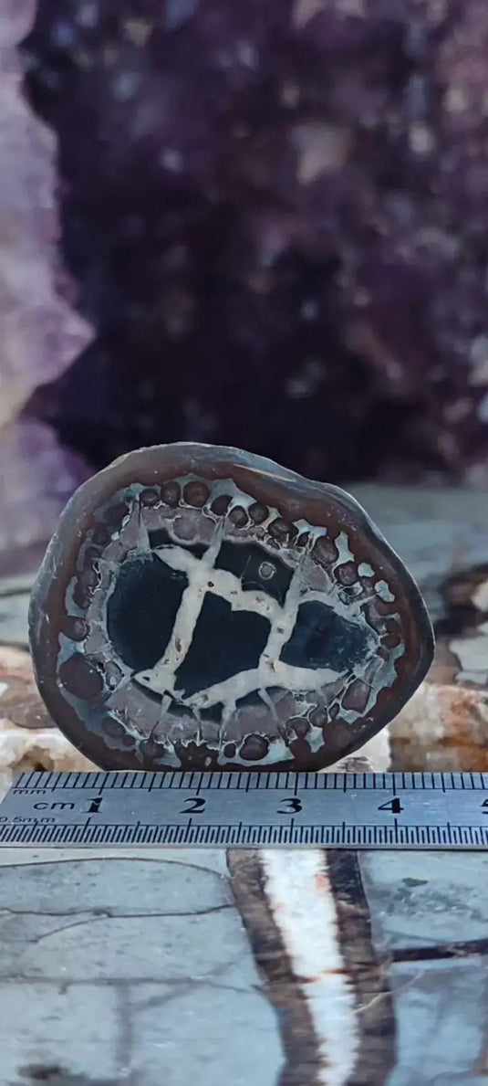 Septaria de la région des contreforts de l’Atlas Maroc - Pierres brutes - Grade Prémium Septaria paire