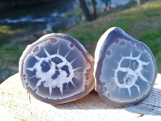 Septaria de la région des contreforts de l’Atlas Maroc - Pierres brutes - Grade Prémium Septaria paire