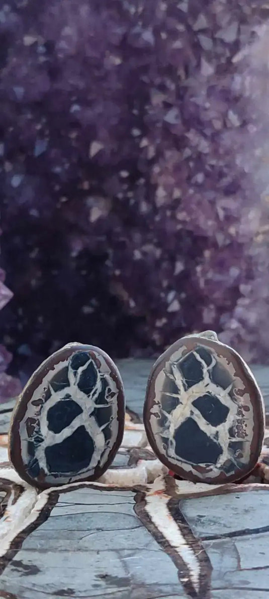 Septaria de la région des contreforts de l’Atlas Maroc - Pierres brutes - Grade Prémium Septaria paire