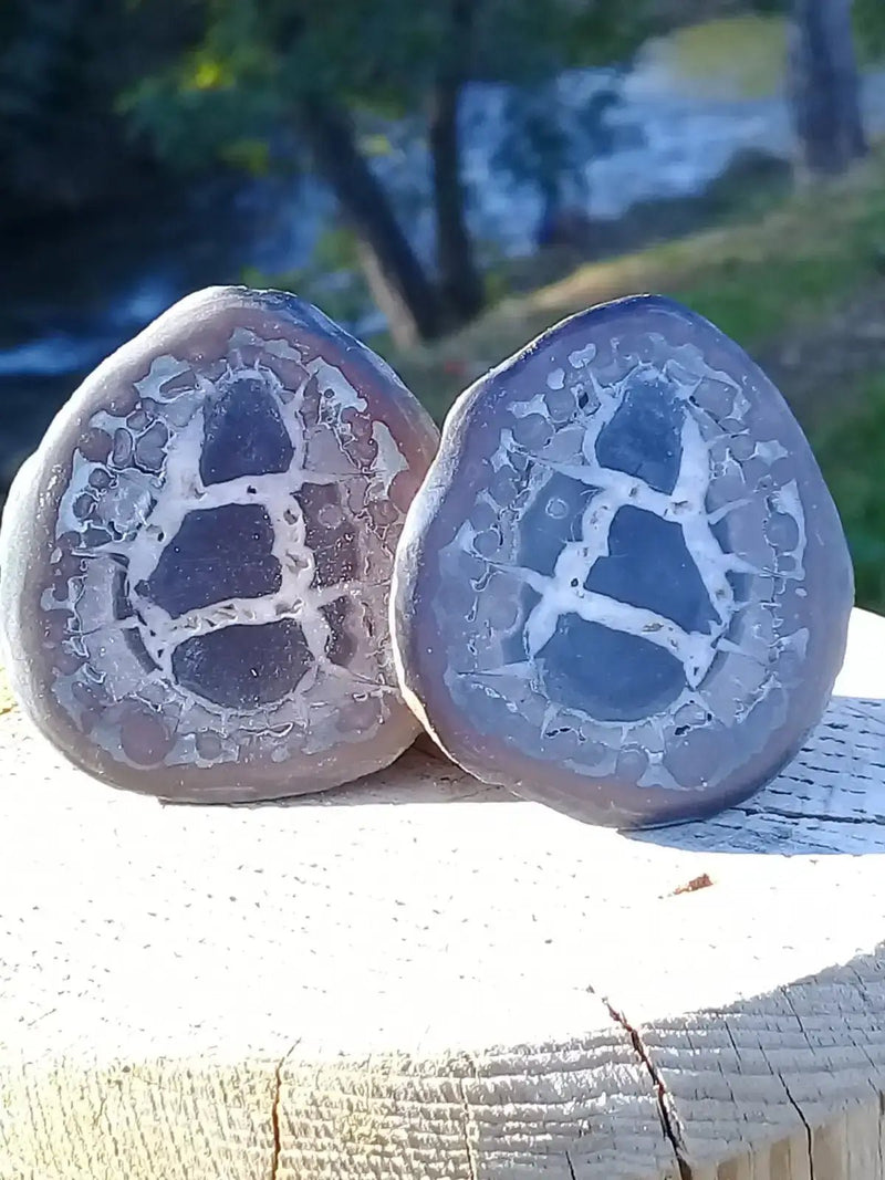 Load image into Gallery viewer, Septaria de la région des contreforts de l’Atlas Maroc - Pierres brutes - Grade Prémium Septaria paire
