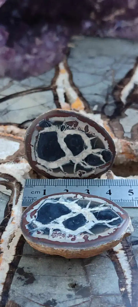 Septaria de la région des contreforts de l’Atlas Maroc - Pierres brutes - Grade Prémium Septaria paire