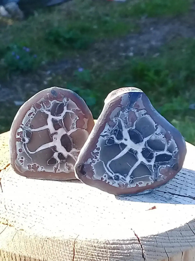 Load image into Gallery viewer, Septaria de la région des contreforts de l’Atlas Maroc - Pierres brutes - Grade Prémium Septaria paire
