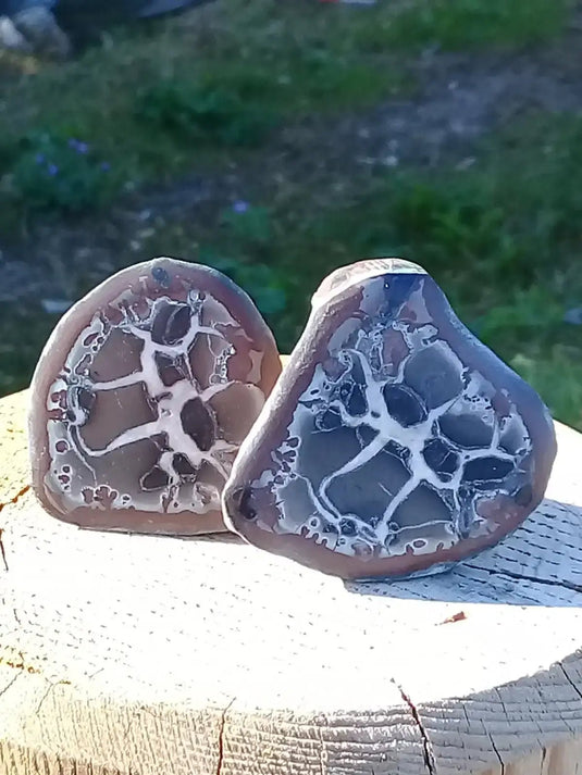 Septaria de la région des contreforts de l’Atlas Maroc - Pierres brutes - Grade Prémium Septaria paire