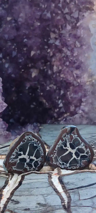 Septaria de la région des contreforts de l’Atlas Maroc - Pierres brutes - Grade Prémium Septaria paire