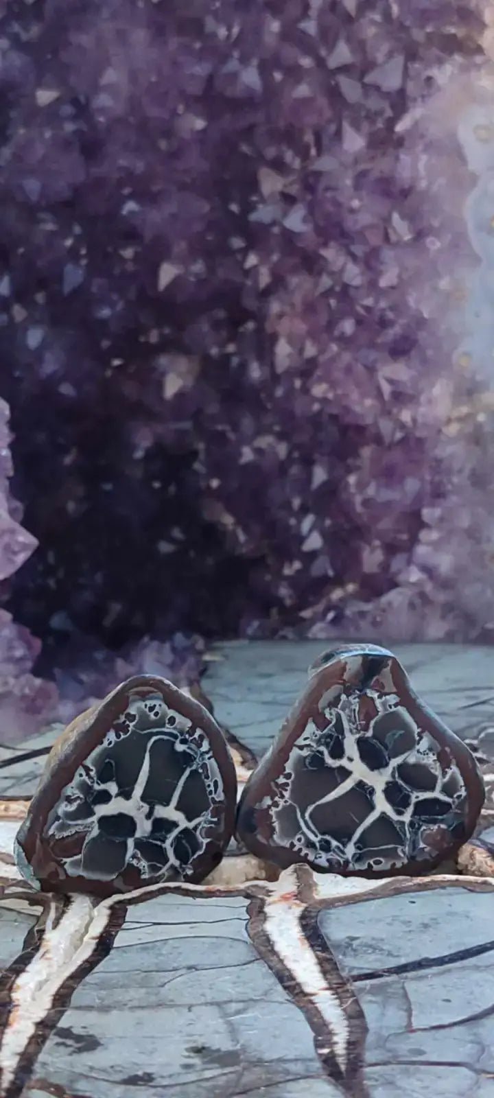 Load image into Gallery viewer, Septaria de la région des contreforts de l’Atlas Maroc - Pierres brutes - Grade Prémium Septaria paire
