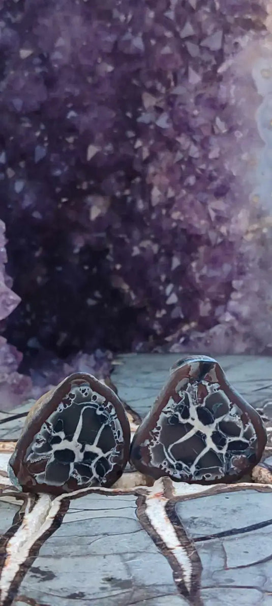 Septaria de la région des contreforts de l’Atlas Maroc - Pierres brutes - Grade Prémium Septaria paire