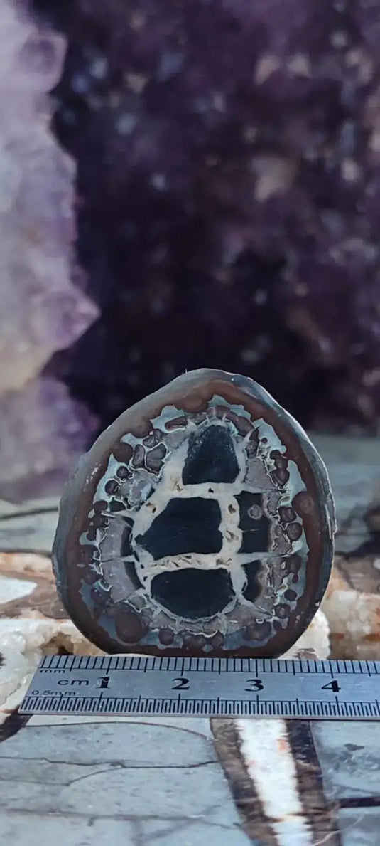 Septaria de la région des contreforts de l’Atlas Maroc - Pierres brutes - Grade Prémium Septaria paire