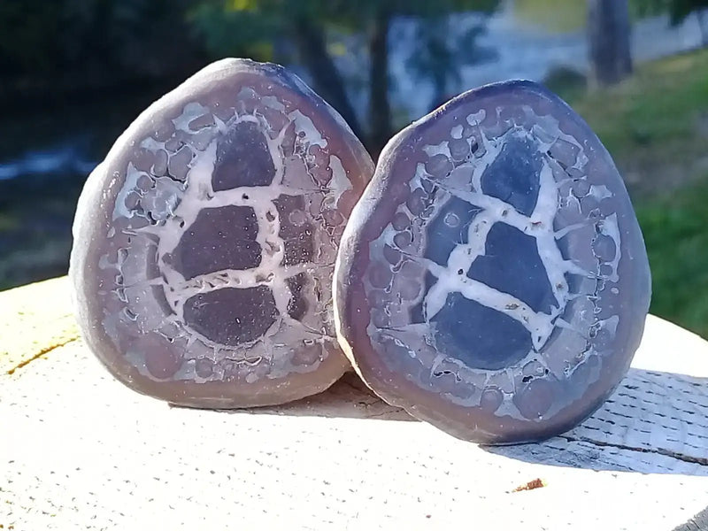 Load image into Gallery viewer, Septaria de la région des contreforts de l’Atlas Maroc - Pierres brutes - Grade Prémium Septaria paire
