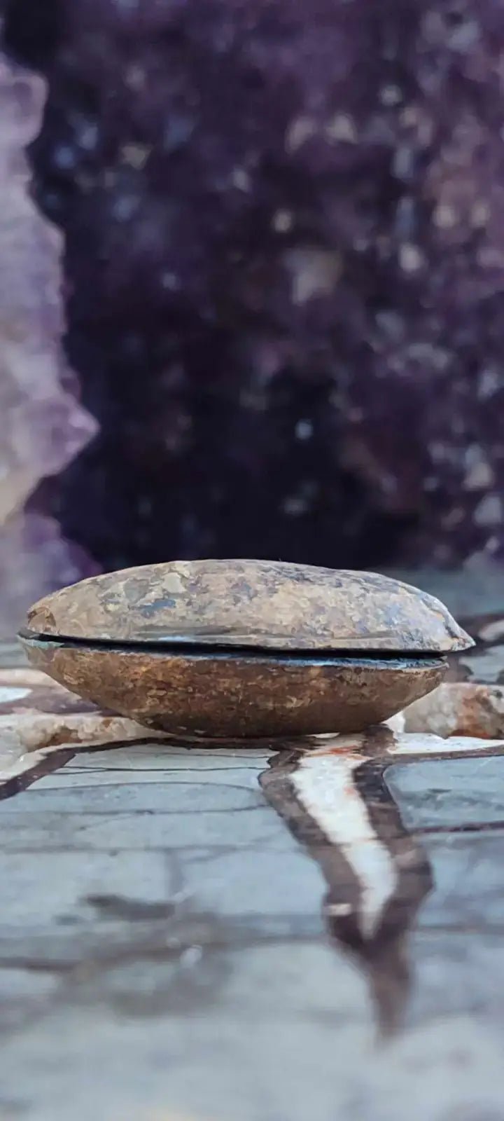 Load image into Gallery viewer, Septaria de la région des contreforts de l’Atlas Maroc - Pierres brutes - Grade Prémium Septaria paire
