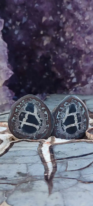 Septaria de la région des contreforts de l’Atlas Maroc - Pierres brutes - Grade Prémium Septaria paire