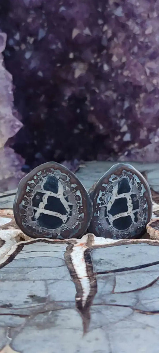 Septaria de la région des contreforts de l’Atlas Maroc - Pierres brutes - Grade Prémium Septaria paire