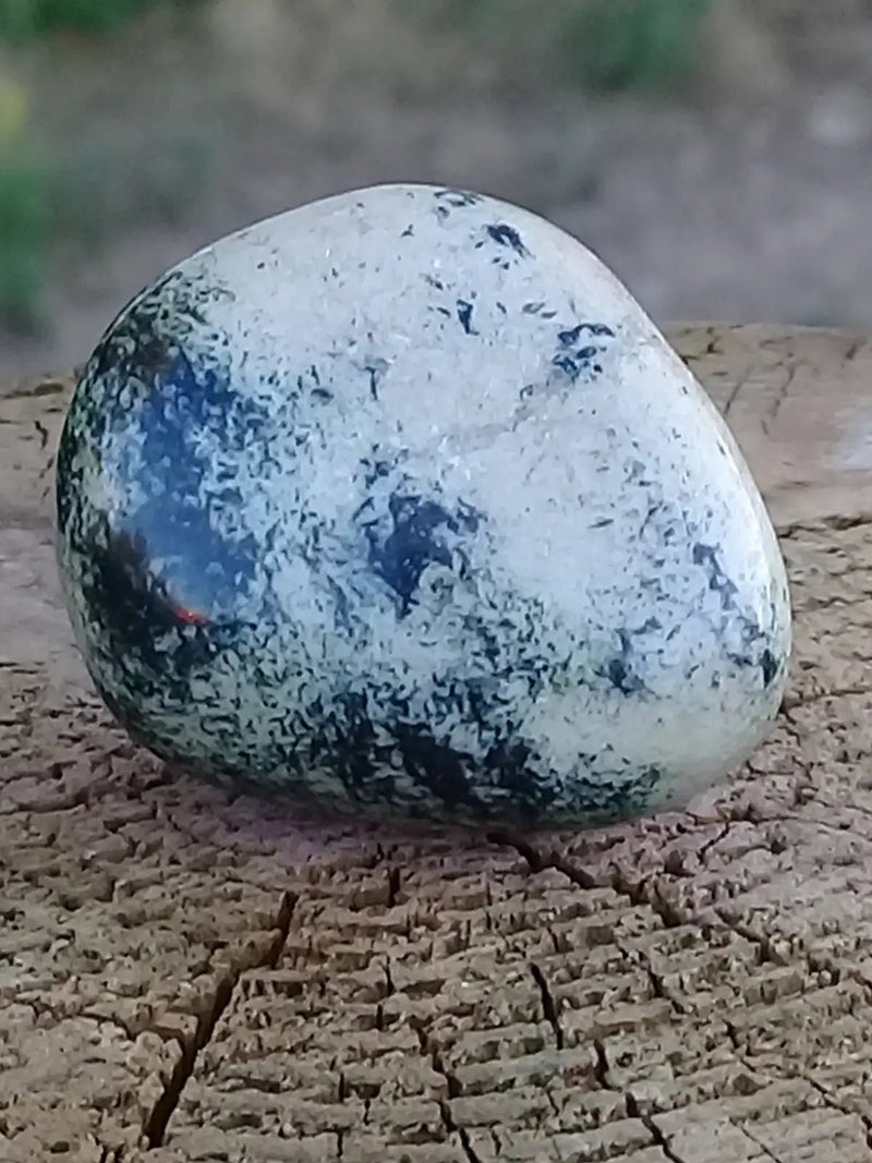 Load image into Gallery viewer, Serpentine Chytah pierre roulée Grade A ++++ Serpentine Chytah pierre roulée
