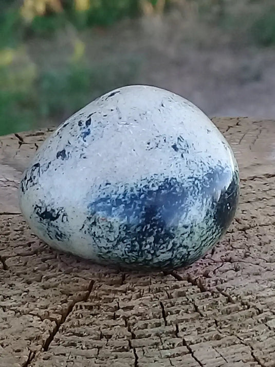 Serpentine Chytah pierre roulée Grade A ++++ Serpentine Chytah pierre roulée