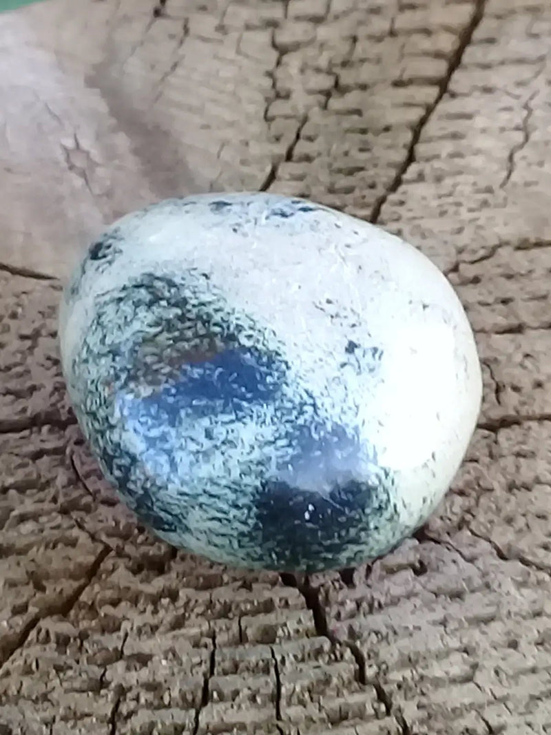 Load image into Gallery viewer, Serpentine Chytah pierre roulée Grade A ++++ Serpentine Chytah pierre roulée
