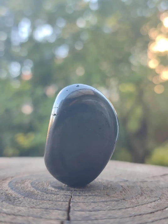 Shungite pierre roulée de Carélie Russie Protection Ondes Électromagnétiques Shungite pierre roulée