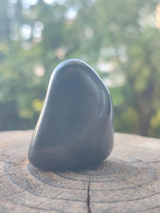 Shungite pierre roulée de Carélie Russie Protection Ondes Électromagnétiques Shungite pierre roulée