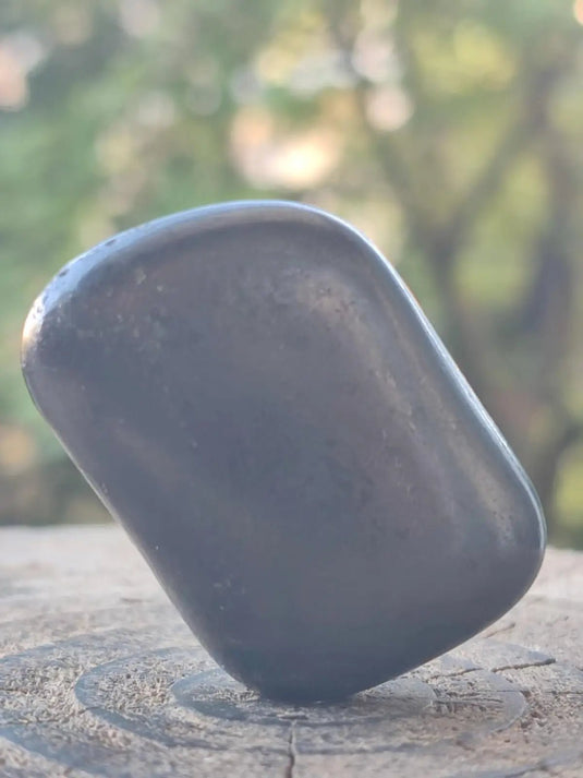 Shungite pierre roulée de Carélie Russie Protection Ondes Électromagnétiques Shungite pierre roulée