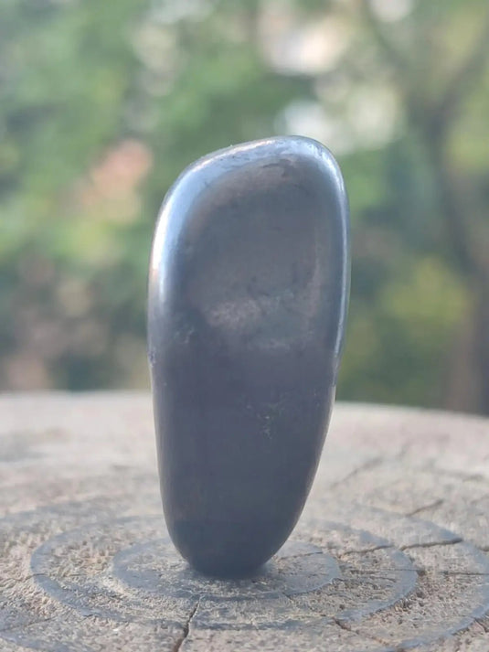 Shungite pierre roulée de Carélie Russie Protection Ondes Électromagnétiques Shungite pierre roulée