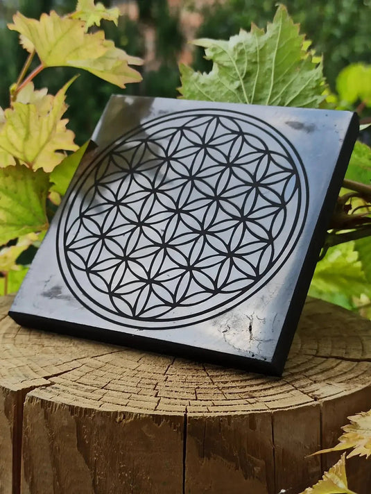 Shungite plaque gravée fleur de vie Dimension 10 x 10 x 1cm Grade A++++ (Revitalisation) Shungite plaque gravée fleur de vie