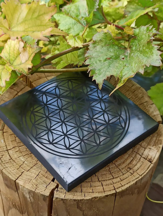 Shungite plaque gravée fleur de vie Dimension 10 x 10 x 1cm Grade A++++ (Revitalisation) Shungite plaque gravée fleur de vie