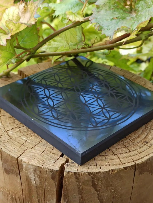 Shungite plaque gravée fleur de vie Dimension 10 x 10 x 1cm Grade A++++ (Revitalisation) Shungite plaque gravée fleur de vie