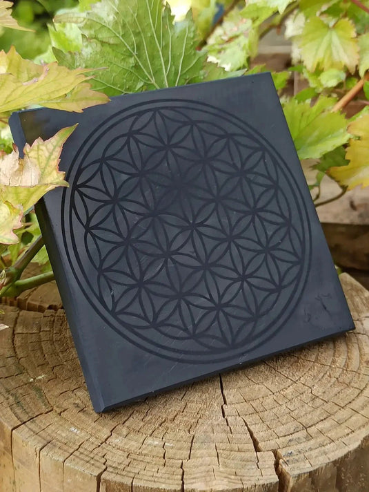 Shungite plaque gravée fleur de vie Dimension 10 x 10 x 1cm Grade A++++ (Revitalisation) Shungite plaque gravée fleur de vie