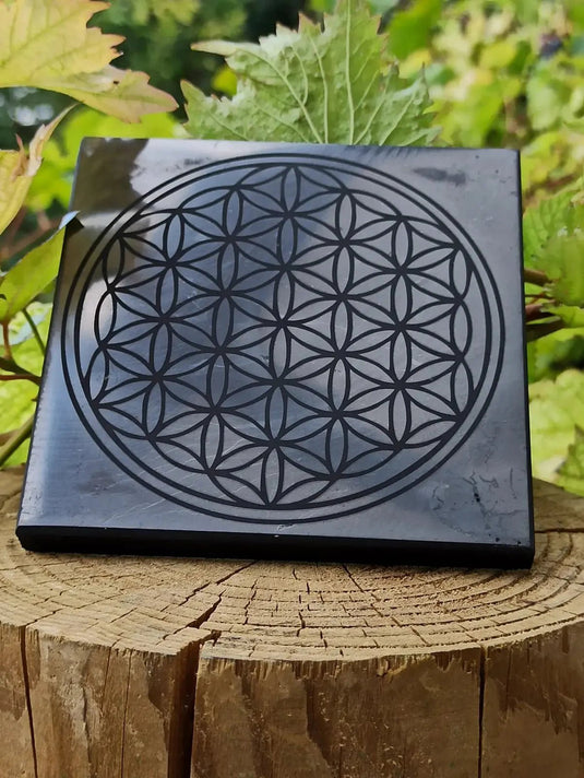Shungite plaque gravée fleur de vie Dimension 10 x 10 x 1cm Grade A++++ (Revitalisation) Shungite plaque gravée fleur de vie