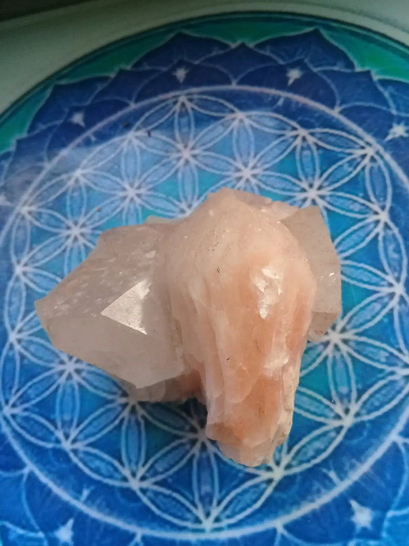 Load image into Gallery viewer, Stilbite brute sur Apohylite Grade A ++++ pièce de Collection Stilbite sur Apophyllite brute
