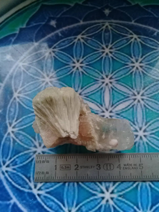 Stilbite et Apophyllite brute Grade A ++++ pièce de Collection Stilbite et Apophyllite brute