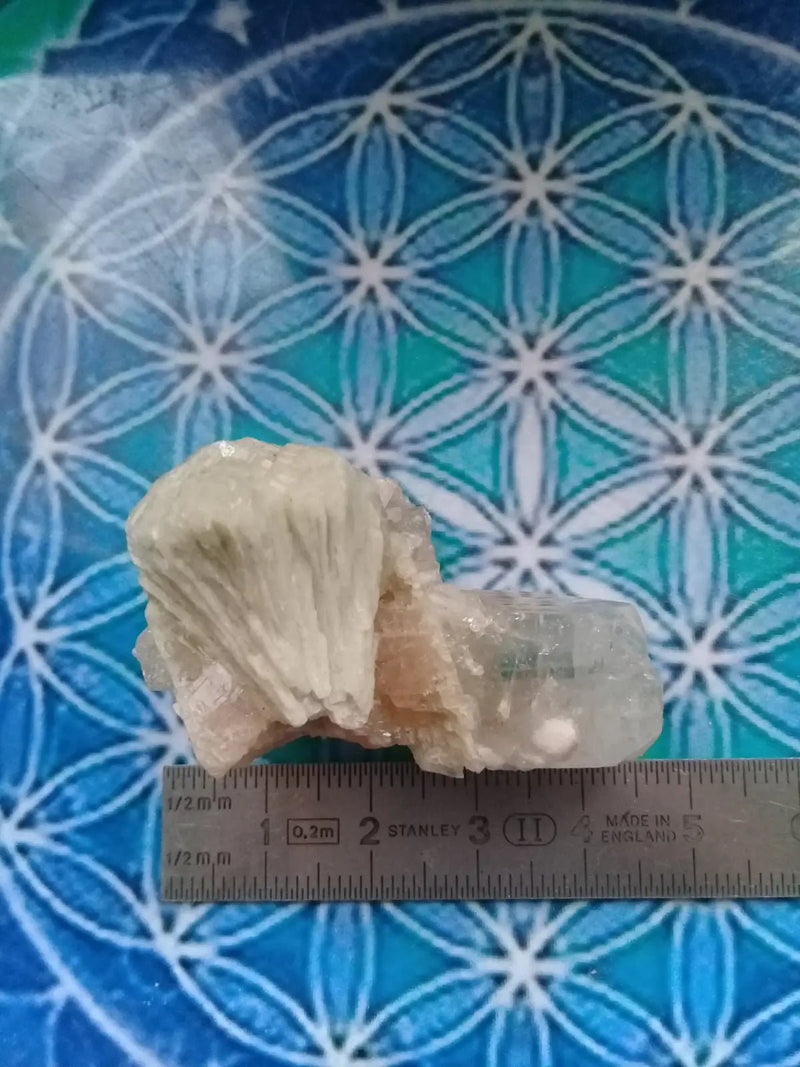 Load image into Gallery viewer, Stilbite et Apophyllite brute Grade A ++++ pièce de Collection Stilbite et Apophyllite brute
