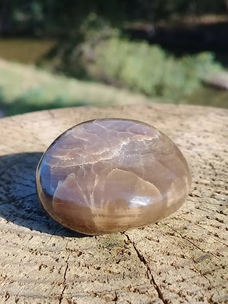 Load image into Gallery viewer, Stromatolite pierre roulée Grade A ++++ Stromatolite pierre roulée
