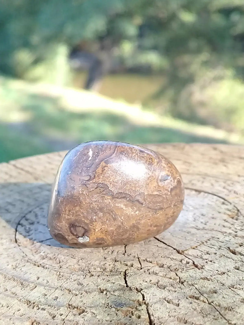 Chargez l&#39;image dans la visionneuse de la galerie, Stromatolite pierre roulée Grade A ++++ Stromatolite pierre roulée
